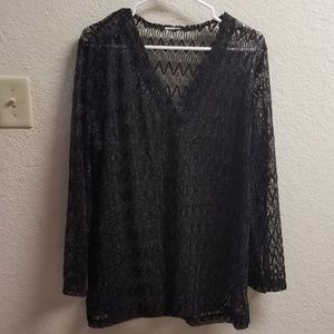 Shimmery Sheer Long Sleeve Blouse